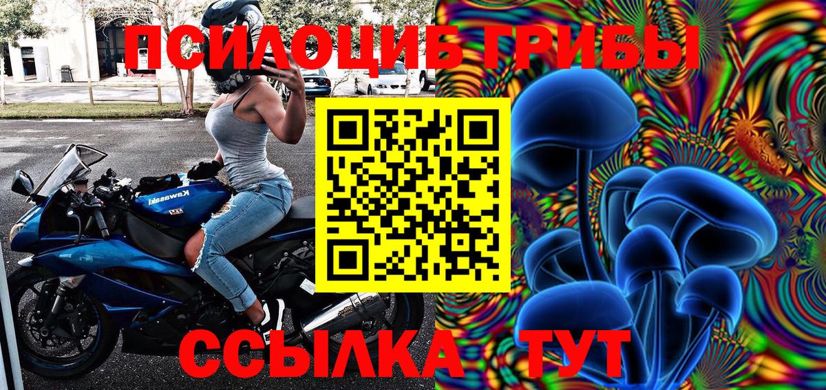 Псилоцибиновые грибы мицелий Надым