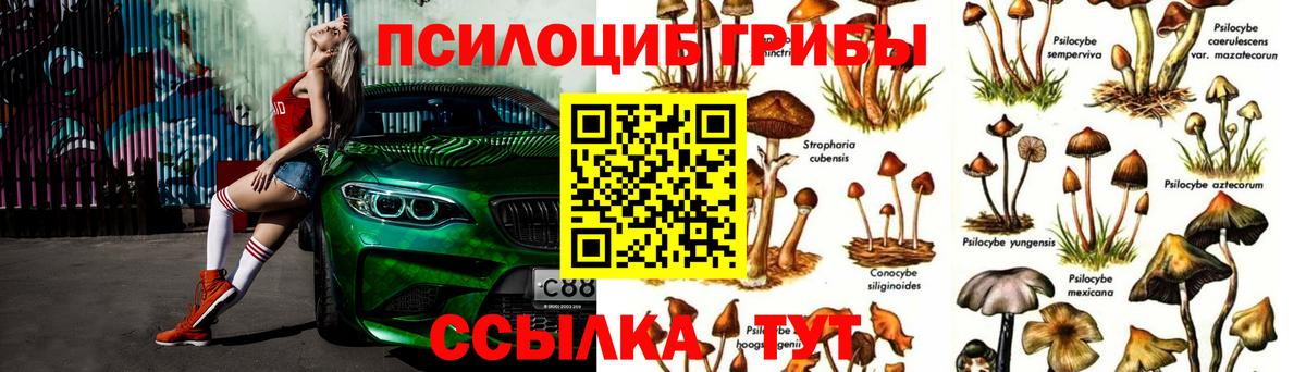 Галлюциногенные грибы мицелий  Вход с VPN  Надым 